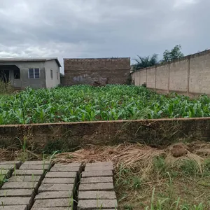 Terrain 1 lot de 600 m² en vente à Legbassito Apessito – 20 millions FCFA — photo 2