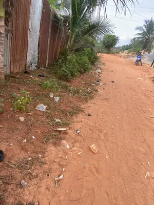 Terrain 300 m² en vente à Akato derrière Candide – 8 millions FCFA — photo 4