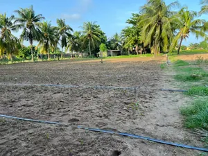 Terrain à vendre à Agbodrafo côté plage – 14 millions FCFA le lot — photo 2