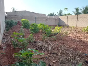 Terrain demi-lot en vente à Djagblé Mokpla – 10 500 000 FCFA — photo 3