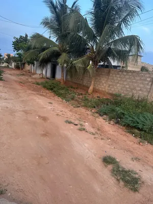 Vente d'un terrain à Apessito, demi-lot clôturé, à 300 m de la grande voie – 8 millions FCFA — photo 2