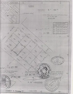 Terrain 568 m² en vente en bord de goudron à Attiégou Togo 2000 – 60 millions FCFA