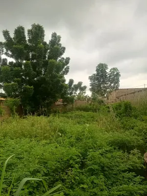 Terrain 300 m² à vendre à Kloblatemé – 9 millions FCFA — photo 3