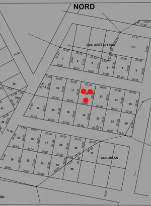 Terrain demi-lot en vente à Zanguéra Atidjin Jerusalem – 7,5 millions FCFA — photo 3