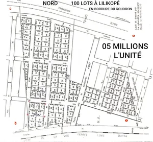 Terrain 100 lots (10 hectares) en vente en bordure du goudron RN1 à Lilikopé – 5 millions FCFA l'unité — photo 2