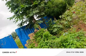 Terrain 1 lot en vente à Agoè Legbassito Zovadzin – 20 millions FCFA