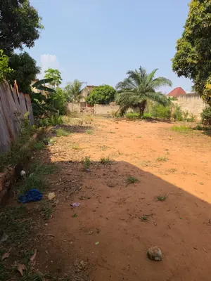 Terrain à vendre au bord de la grande route à Agoè Logopé Kossigan – 65 millions FCFA — photo 3