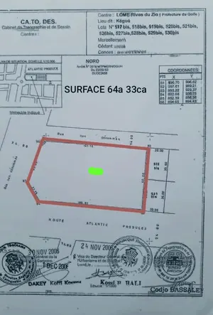 Terrain 6450 m² en vente en angle de rue en bordure du goudron à Kégué Tingah – 110 millions FCFA