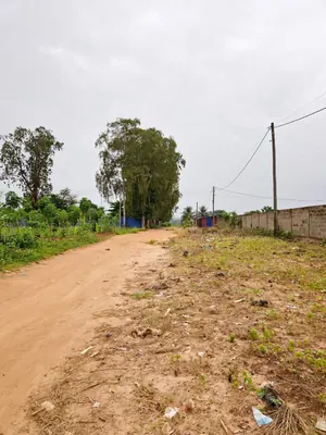 Terrain 5 lots 2996 m² en vente à Sanguéra Marché, angle de rue, à 150 m du goudron – à partir de 25 000 000 FCFA le lot — photo 3