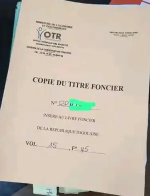 Terres agricoles 166 hectares à vendre à Amouzoucopé Gbégamé – 1 500 000 FCFA l'hectare