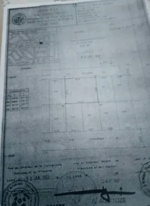 Terrain 1500 m² en vente à Agoè Assiyeyé – prix à partir de 40 millions FCFA le demi-lot — photo 2