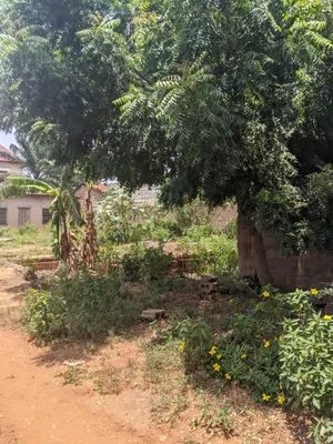 Terrain demi-lot à vendre à Agoè Assiyéye à 100 m du goudron – 30 millions FCFA — photo 6