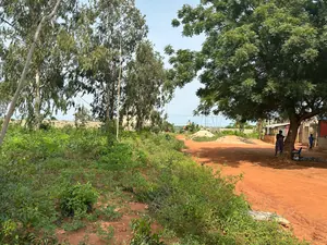 Terrain de 4200 m² (7 lots) en vente à Djagblé Abolavé – Prix à partir de 8 millions FCFA
