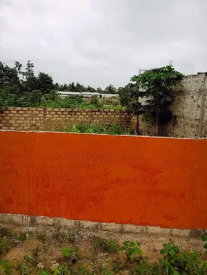 Terrain 203 m² en vente à Kpalé, angle de rue – 4,5 millions FCFA — photo 5