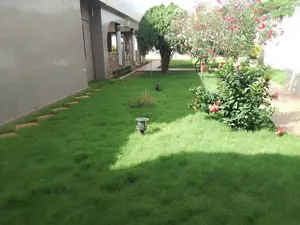 Villa basse 4 chambres à vendre en angle de rue sur 900 m² à Agoè Léo 2000 – 325 millions FCFA — photo 2