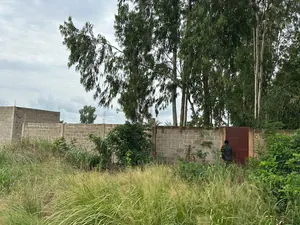 Terrain 600 m² en angle de rue à vendre à Légbassito-tové – 25 000 000 FCFA le lot — photo 2