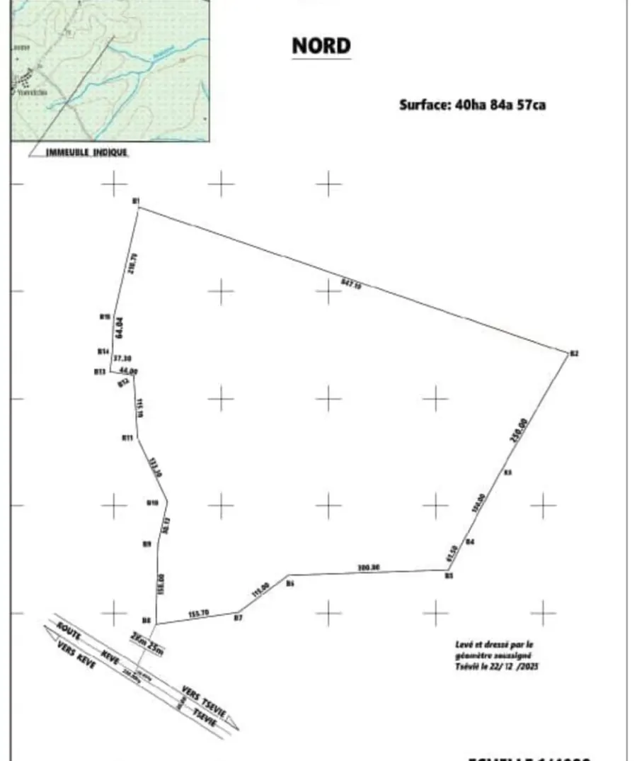 Terrain de 40 hectares en vente à Kévé Avedjé – 2,5 millions FCFA l'hectare