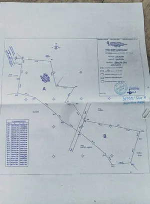 Terrain de plus de 25 hectares en vente à Badja – 2 500 000 FCFA l'hectare