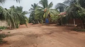Maison niveau dalle 5 chambres 150 m² en vente à Agoè Légbassito Bokpokor – 13 000 000 FCFA — photo 3