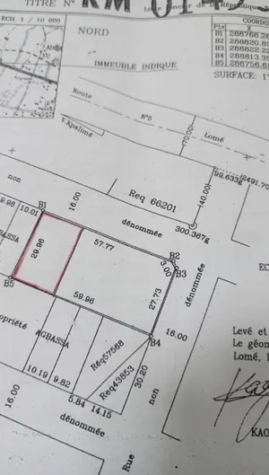 Terrain demi-lot 300 m² en vente à Zanguéra-Aképédo près du goudron Lomé-Kpalimé – 10 millions FCFA — photo 4