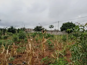 Terrain demi-lot de 300 m² en vente à Ségbé Franco Arabe – 9 millions FCFA — photo 4
