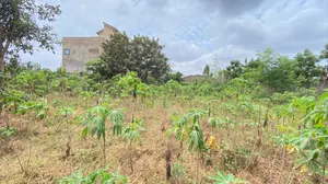 Terrain demi-lot 300 m² à vendre à Adidogomé Segbé Akato – 10 millions FCFA — photo 5