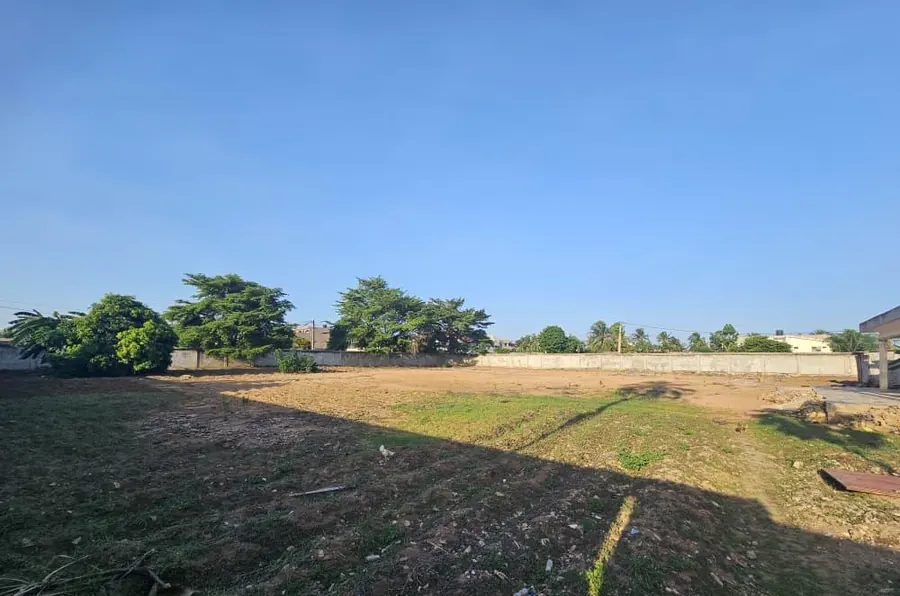 Terrain 600 m² en vente à Avenou Toto – prix à partir de 70 millions FCFA le lot