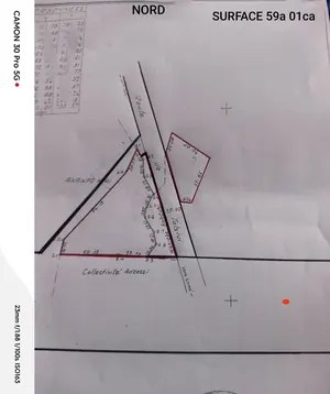 10 lots en vente en angle de rues en bordure de grande voie à Totsi – 45 millions FCFA l'unité