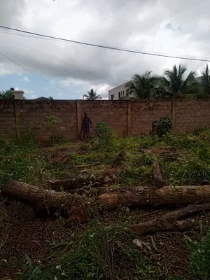 Terrain 2 lots à vendre à Wonyomé Adidogomé – 35 millions FCFA le lot
