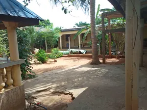 Vente d'une maison à Agoè Minamadou, 5 chambres sur 1 lot (600 m²), face grande voie, 2 bâtiments + 2 boutiques – 70 millions FCFA — photo 2