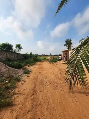 Terrain 2 lots en vente à Zanguera, face au goudron – 50 millions FCFA — photo 3
