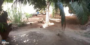 Villa 3 chambres à vendre à Ségbé – 25 000 000 FCFA
