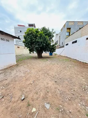 Terrain 1 lot à vendre à Nukafu, non loin de Somayaf – 85 millions FCFA à débattre — photo 1