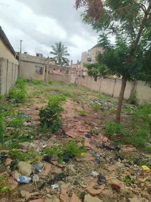 Terrain 300 m² en vente au bord de la voie principale à Agoè Zossimé – 15 millions FCFA — photo 4