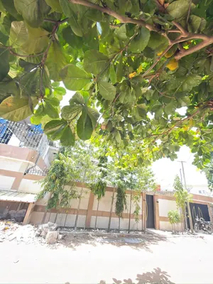 Villa duplex 4 chambres à louer à Nyékonakpoè – 800 000 FCFA — photo 3