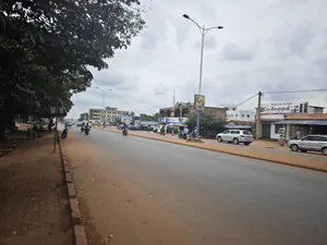 Vente d'un terrain à Agoè Nyivé Atsanvé, 2 lots 1/4, 1320 m², bord du goudron, titre foncier personnel – 300 millions FCFA à débattre — photo 5