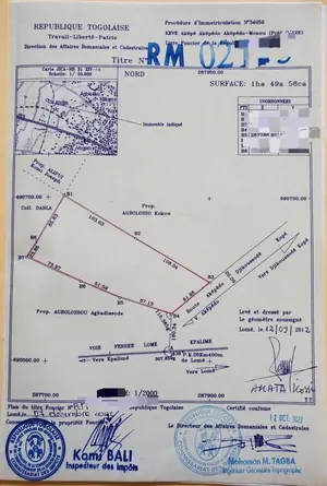 Terrain 1 hectare à vendre à Aképédo Monou (Zanguera) – 17 millions FCFA le lot