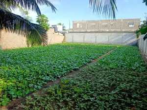 Vente d'un terrain à Kpogan, près de demi-lot (223,5 m²), à 50 m de la route nationale n°2 – 9 millions FCFA à débattre — photo 2