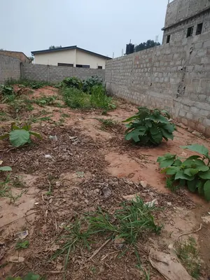 Terrain demi-lot 300 m² en vente à Segbé Samaritain proche du goudron – 10 millions FCFA