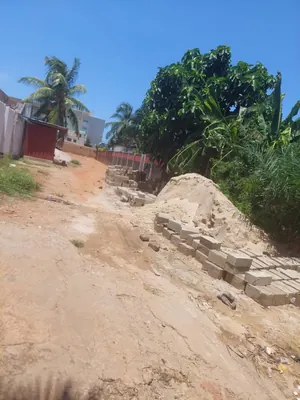 Terrain 2 lots en vente à Avenou proche du goudron – 55 millions FCFA le lot — photo 2