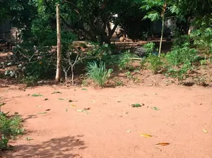 Terrain 1 lot en vente angle de rue à Cap Amadahomé – 40 millions FCFA — photo 2