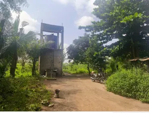 Terrain de 33 ha 43 a 88 ca en vente à Agbelouve Tchito Voutokpa – 3,5 millions FCFA l'unité — photo 2