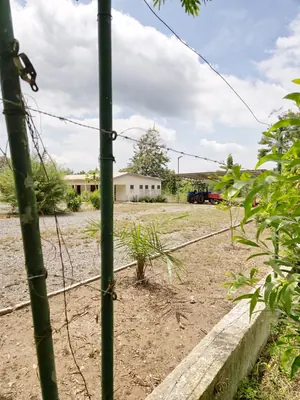 Vente d'hectares à Badja, 6 hectares, proche du goudron – 7,5 millions FCFA l'hectare — photo 10
