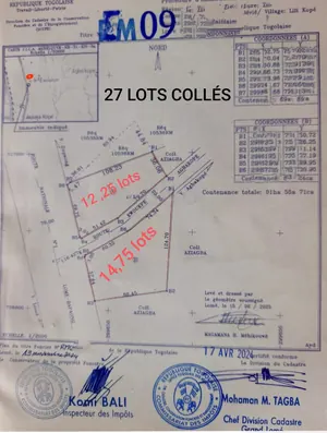 Terrain 600 m² en vente en bordure du goudron à Lilikopé, Cinkassé – 5 millions FCFA le lot