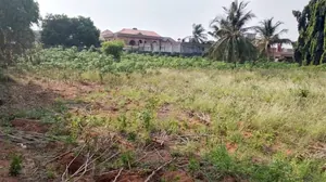 Terrain demi lot en vente à Adidogomé Yokoe Catholique – 13 millions FCFA — photo 3