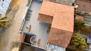 Vente d'une villa duplex meublée à Agodéké, 12 chambres, 600 m², titre foncier personnel – 250 millions FCFA — photo 21