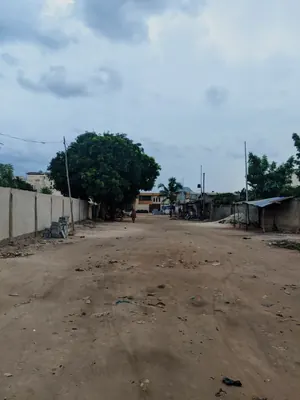 Terrain 600 m² en vente en bordure de goudron à Adidogomé Atillamonuou Rafiti – à partir de 50 millions FCFA — photo 3