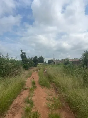 Terrain demi-lot en vente au bord de la rue à Agoé Téléssou-Logopé – 18 millions FCFA — photo 3