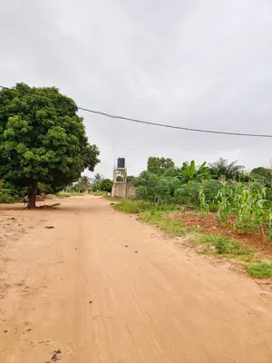 Terrain 5 lots 2996 m² en vente à Sanguéra Marché, angle de rue, à 150 m du goudron – à partir de 25 000 000 FCFA le lot — photo 5