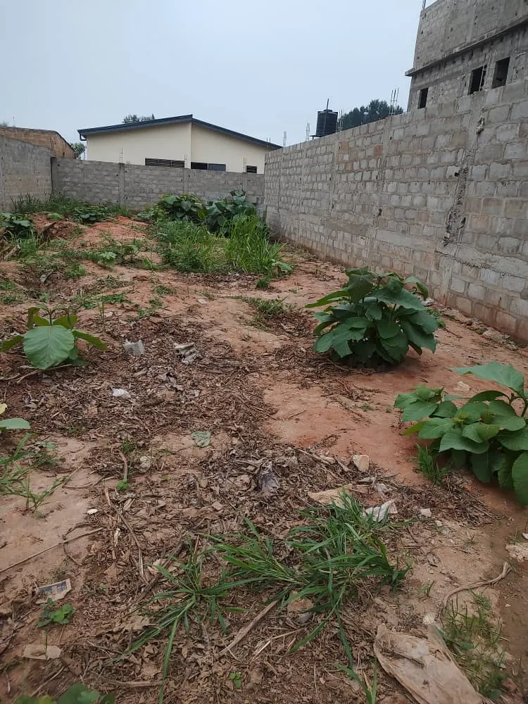 Terrain demi-lot 300 m² en vente à Segbé Samaritain proche du goudron – 10 millions FCFA